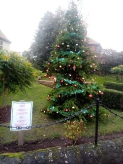 Forest Holidays - Christmas Tree, Cenotaph Edwinstowe